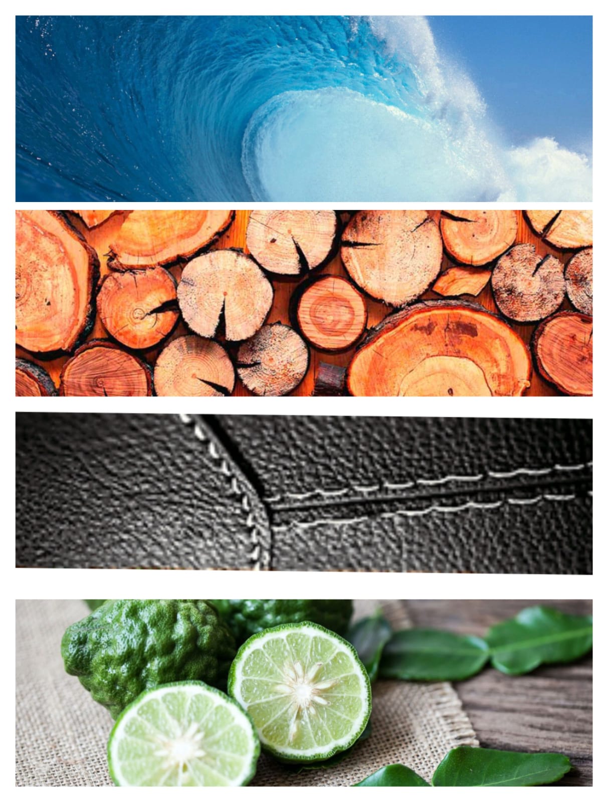 Perfumes para Hombres